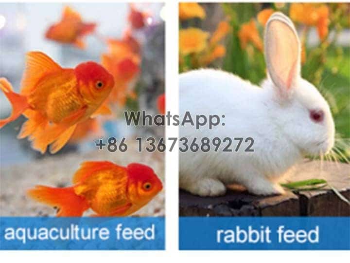 Applicable fish and rabbits